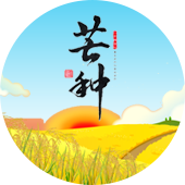 default-img.jpg 芒种