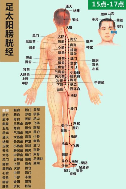 default-img.jpg 足太阳膀胱经