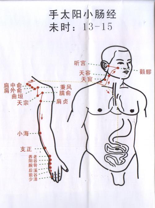 default-img.jpg 手太阳小肠经