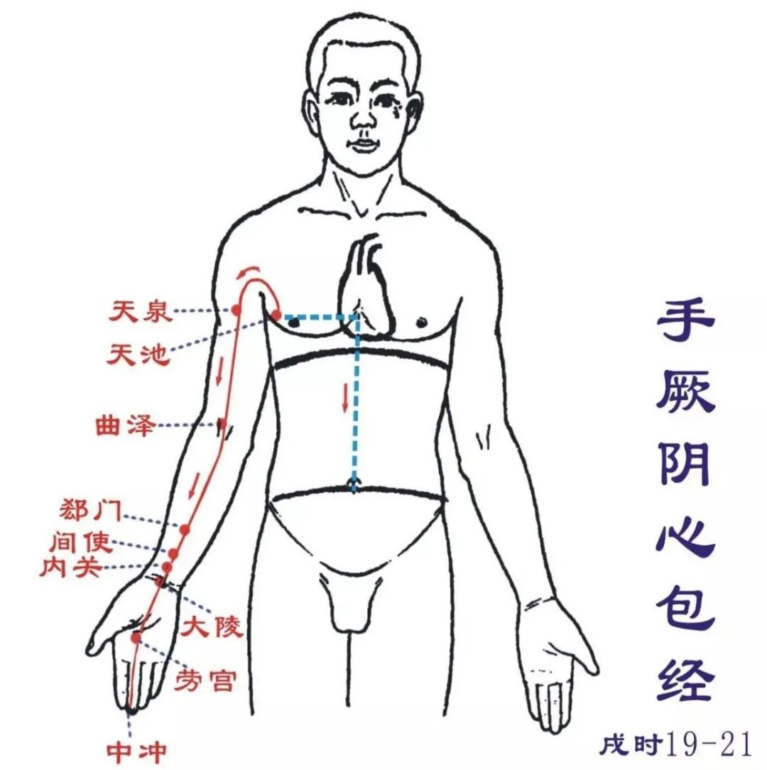 default-img.jpg 手厥阴心包经